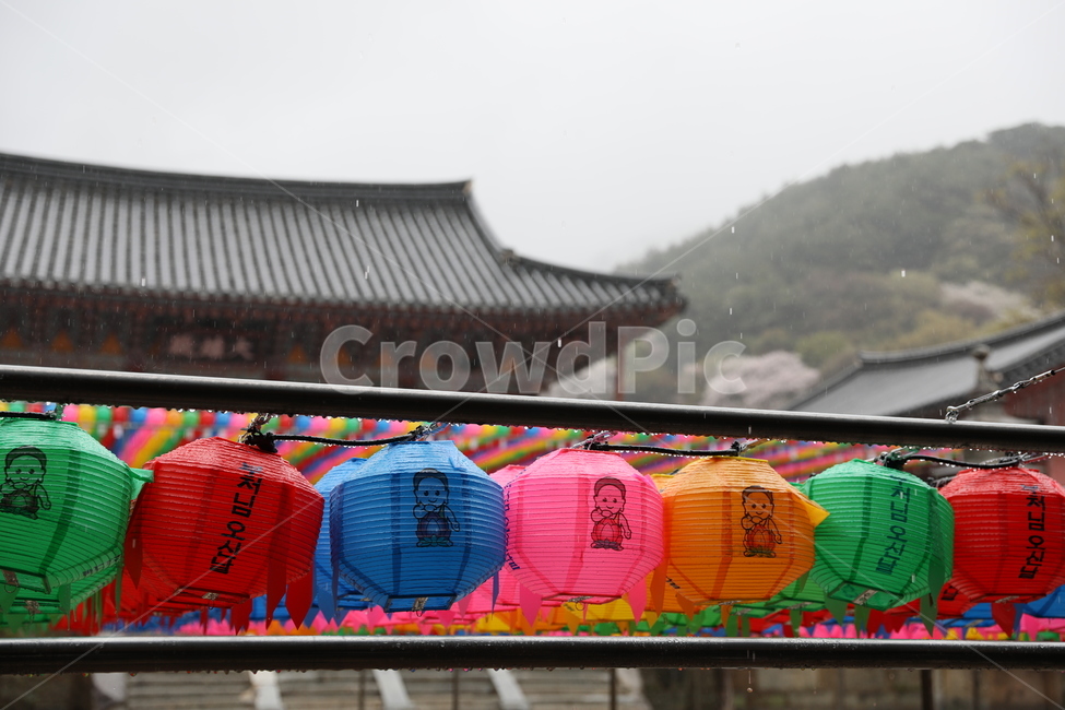 구례,화엄사,사찰,전통가옥,절,한국전통,한국문화,korean traditional,korean culture,종교,신앙,religion,belief,faith,비,비오는날,rain,rainy