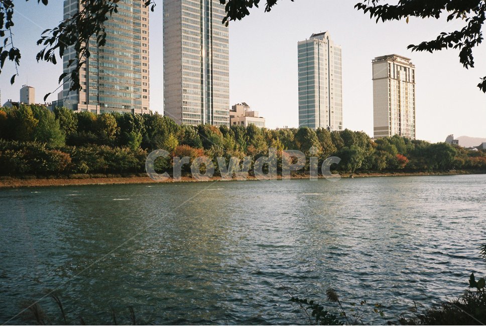석촌호수,필름사진,빈티지,감성사진,잠실,호수,film,seokchonlake,datespot,date,lake,vintage,jamsil,롯데월드,가을,단풍,산책길,fall,maple,도시,풍경,city,landscape,한국도시풍경,한국도시경관,korea cityscape,water,물