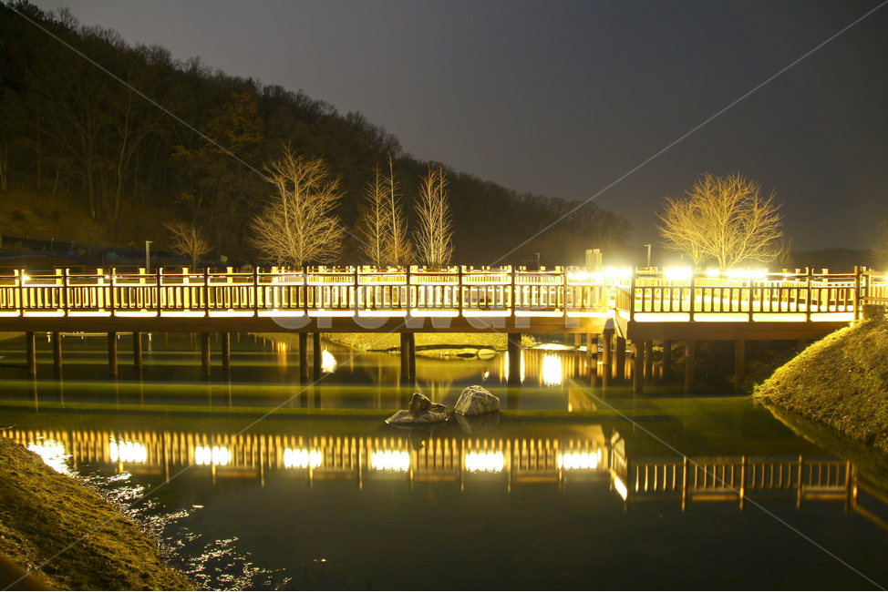 대전,인공습지,야경,조명,데크,신상동,빛,water,연못