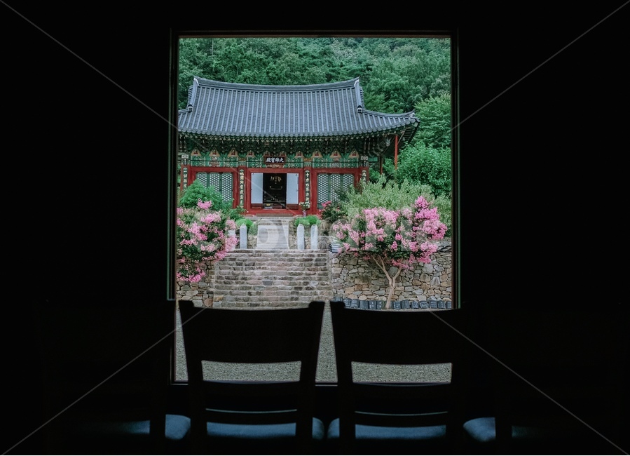 절,풍경,배롱나무,개암사,부안,자연,배경,풀