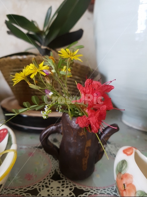 plant,식물,blossom,꽃,flower,장식,꽃병,아트