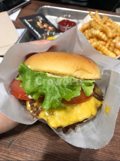 음식,햄버거,감자튀김,콜라,수제버거,치즈,패티,burger