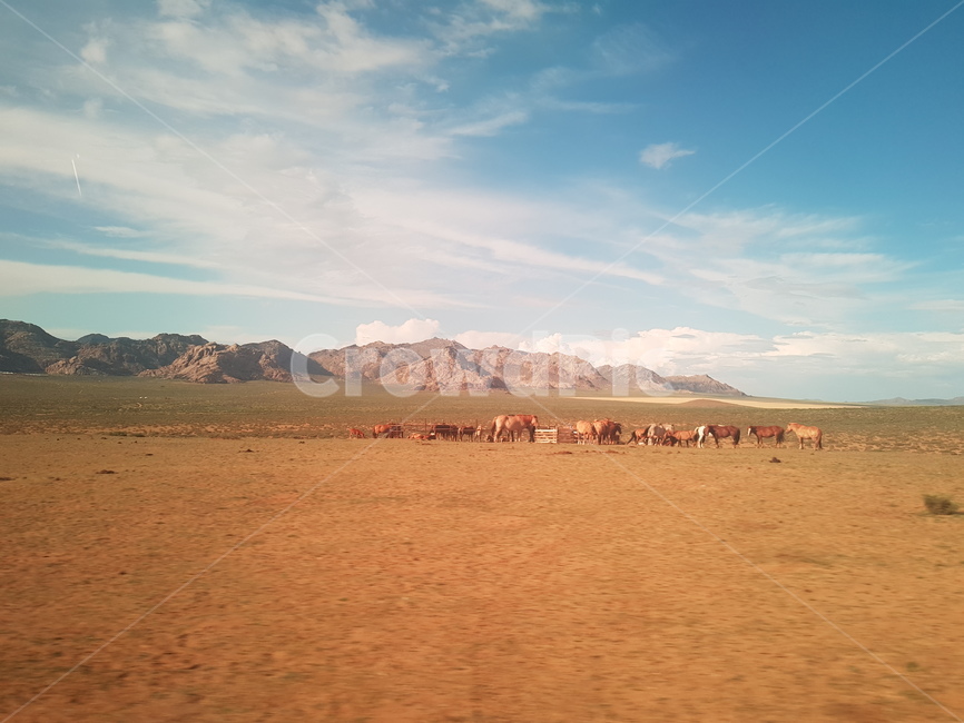 nature,자연,사막,outdoors,desert,몽골,mongolia