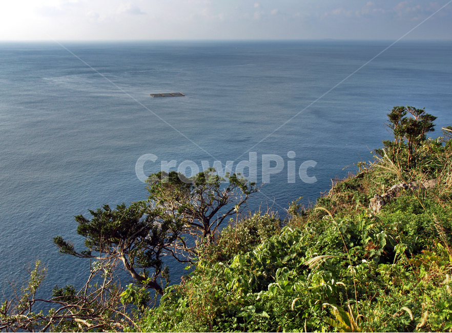 박수기정,서귀포시,올레9코스,올레,바다,제주,숲,자연,풍경,nature,landscape,한국자연풍경,한국자연경관,korea nature landscape,제주도,jeju,jeju island,land,땅,outdoors,옥외,water,물,sea,ocean,대양,shoreline,해안선,promontory,곶