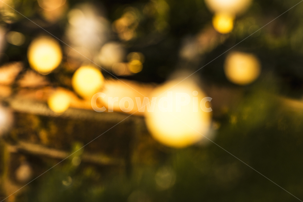 보케,조명,lighting,크리스마스,전구,트리,빛,감성