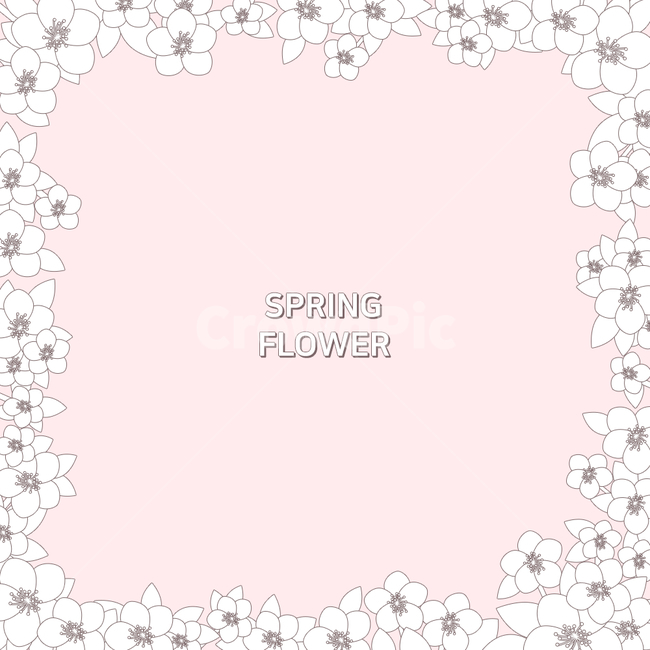 spring,spring flowers,warm,Cherry Blossom,petal,background,festival,sight,season,flower,frame