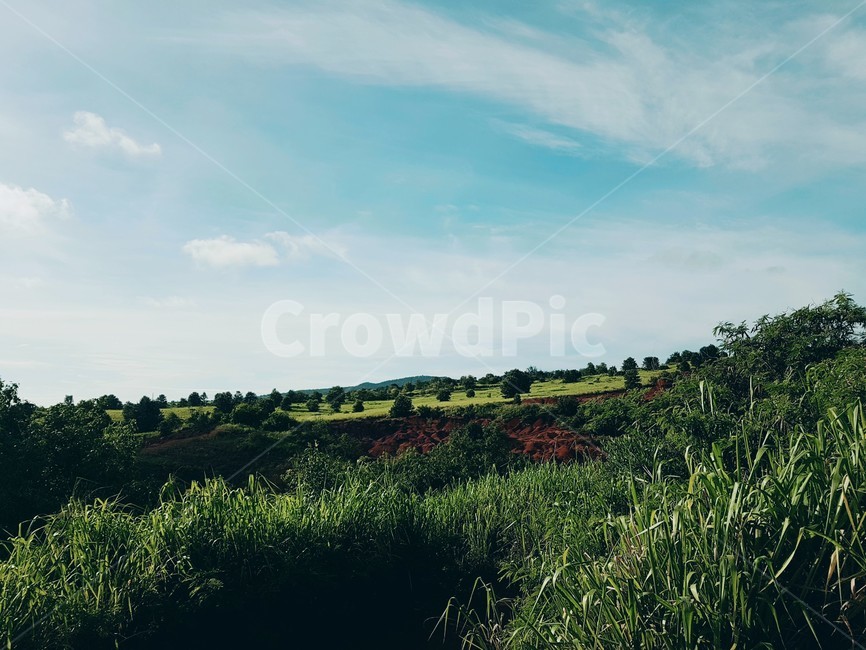 하늘,sky,자연풍경,배경화면,구름,구름하늘,강,바다,산,뭉개그림,풀밭,나무,blue,green,cloud,자연,풍경,nature,landscape,outdoors,옥외