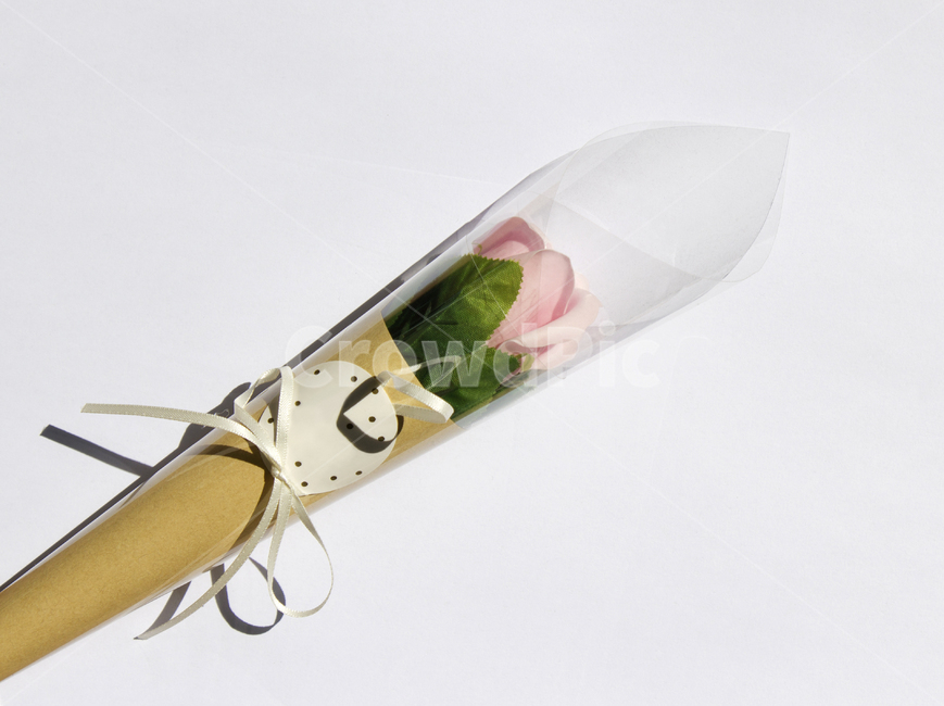 장미,로즈,꽃,플라워,조화,비누,비누꽃,핑크,분홍,잎,나뭇잎,잎사귀,흰배경,클로즈업,사물,자연,식물,포장,리본,꽃송이,한송이,선물,고백,사랑,비닐,꽃,flower,기념일,축하,anniversary,congratulation,celebrate,celebration