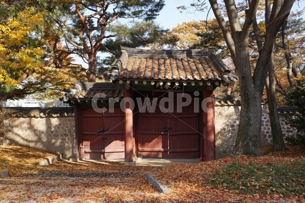 한옥,한국,서울,korea,seoul,한국문화,한국역사,한국적인,문화,역사,한국전통,전통,건축,전통건축,태극,태극무늬,지붕,기와,나무,문화재,유적지,사당,풍경,landscape,조선시대,조선왕조,목조,문,대문,가을,낙엽,계절,season,fall,autumn,한옥문,전통문,입구,출구,단풍,자연,nature,창경궁,궁궐,궁전,문고리,tree,가을,계절,fall,autumn,season,한국전통,한국문화,korean traditional,korean culture,랜드마크,landmark,tourist attraction,한국랜드마크,한국관광지,한국명소,korea landmark,korea tourist attraction,건축물,건물외관,exterior,building,structure,architecture,construction,outdoors,옥외