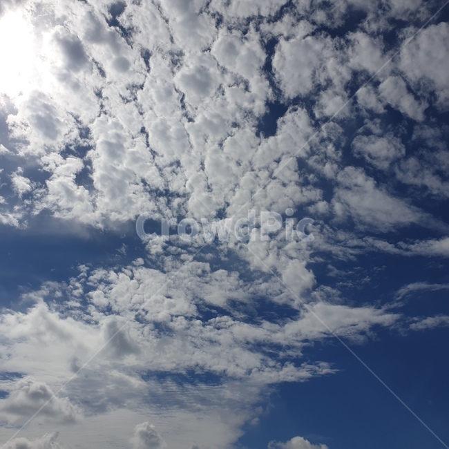 nature,자연,outdoors,옥외,sky,날씨,weather,cloud,하늘,cumulus,적운,푸른하늘,구름,예쁜구름,햇살,햇빛