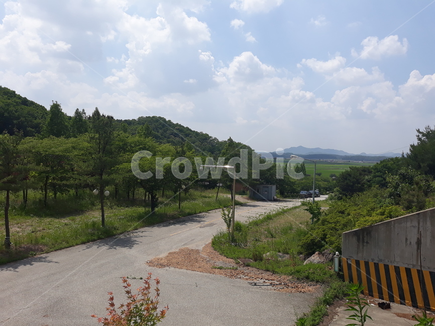 옥외,road,도로,nature,자연,outdoors,하늘,sky,숲,forest,tree,잡초,weed