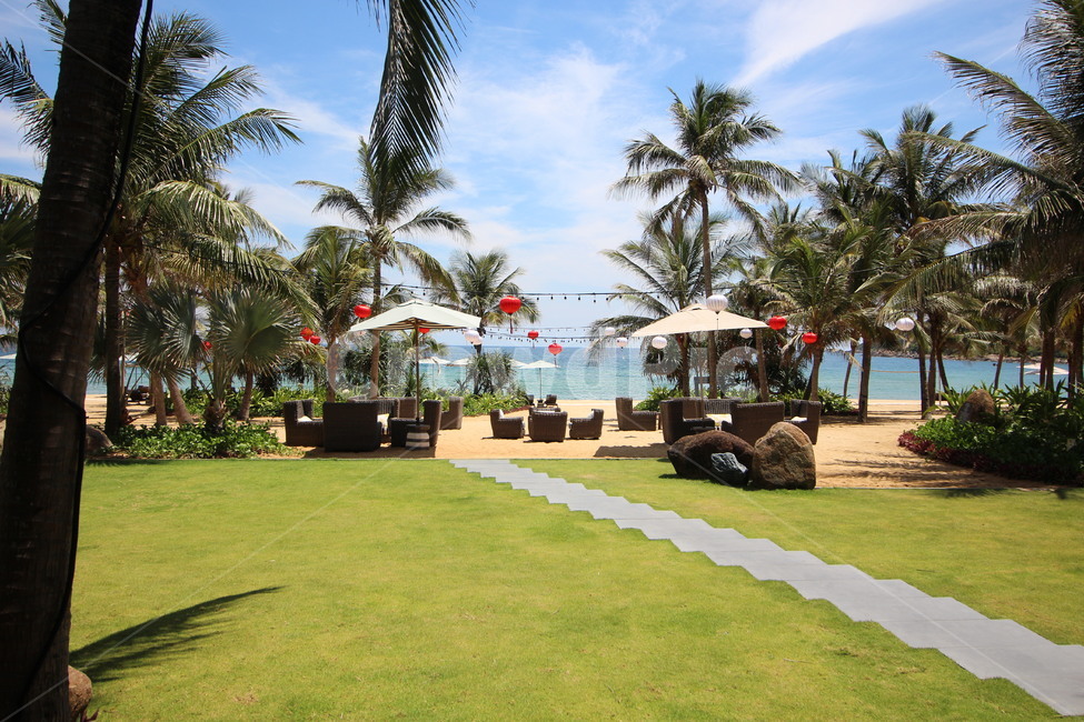 여름,여행,야자수,잔디,해변,바다,여름,계절,summer,season,자연,풍경,nature,landscape,해변,바다,beach,sea,해외,외국,세계,foreign,oversea,world,세계자연풍경,해외자연풍경,외국자연풍경,world nature landscape,grass,plant,식물