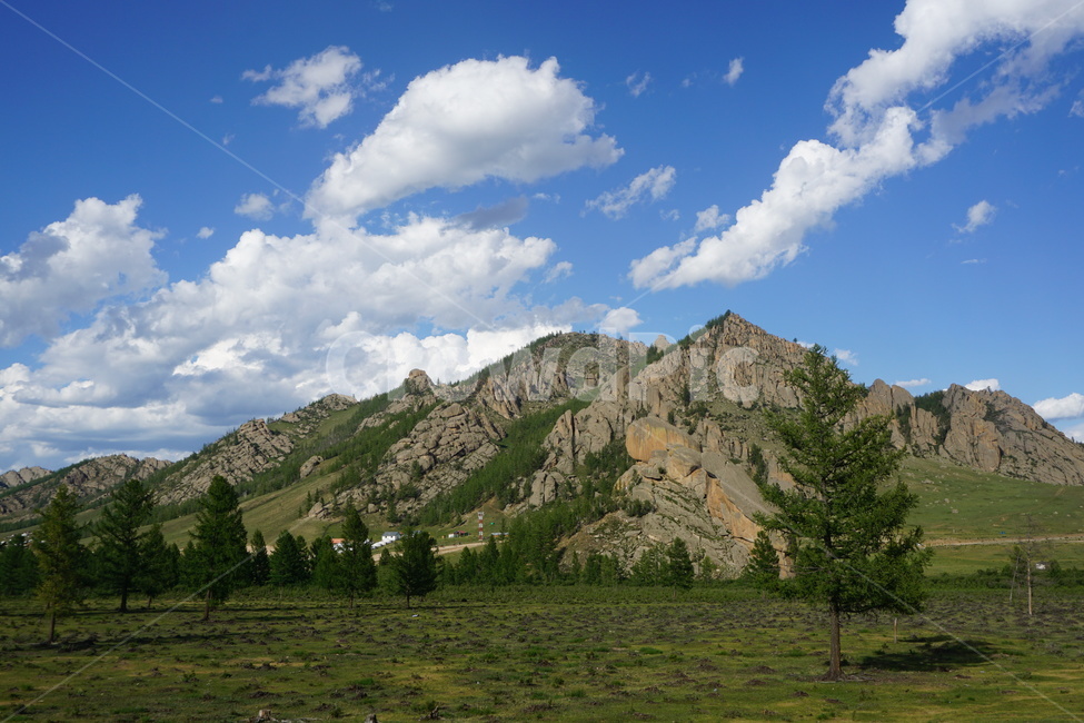 몽골,mongolia,산,돌산,나무,하늘,자연,풍경,nature,landscape,해외,외국,세계,foreign,oversea,world,세계자연풍경,해외자연풍경,외국자연풍경,world nature landscape,outdoors,옥외