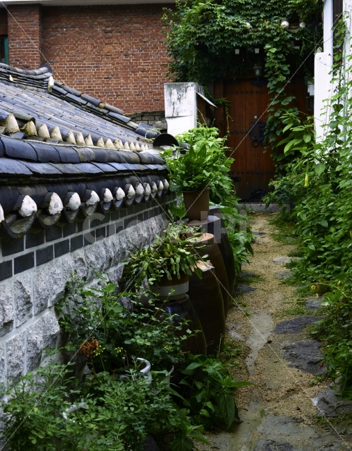 한옥,담장,기와,골목긱,장독대,화초,대문,골목길,alley,한국전통,한국문화,korean traditional,korean culture