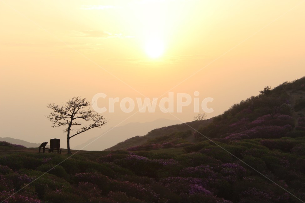 경치,자연,풍경,하늘,나무,봄,계절,spring,season,자연,풍경,nature,landscape,한국자연풍경,한국자연경관,korea nature landscape,outdoors,옥외