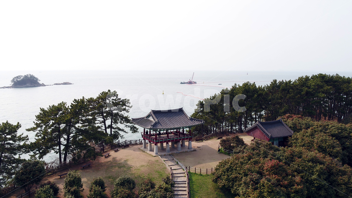 동백,동백정,동백꽃,꽃,자연,풍경,바다,flower,nature,landscape,sea,경치