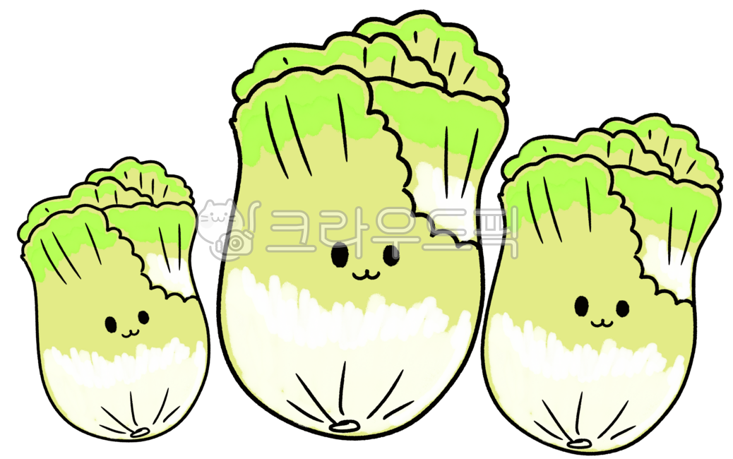 배추, 야채, 채소, vegetables, 얼굴, 사진,이미지,일러스트,캘리그라피 - cookyimage작가