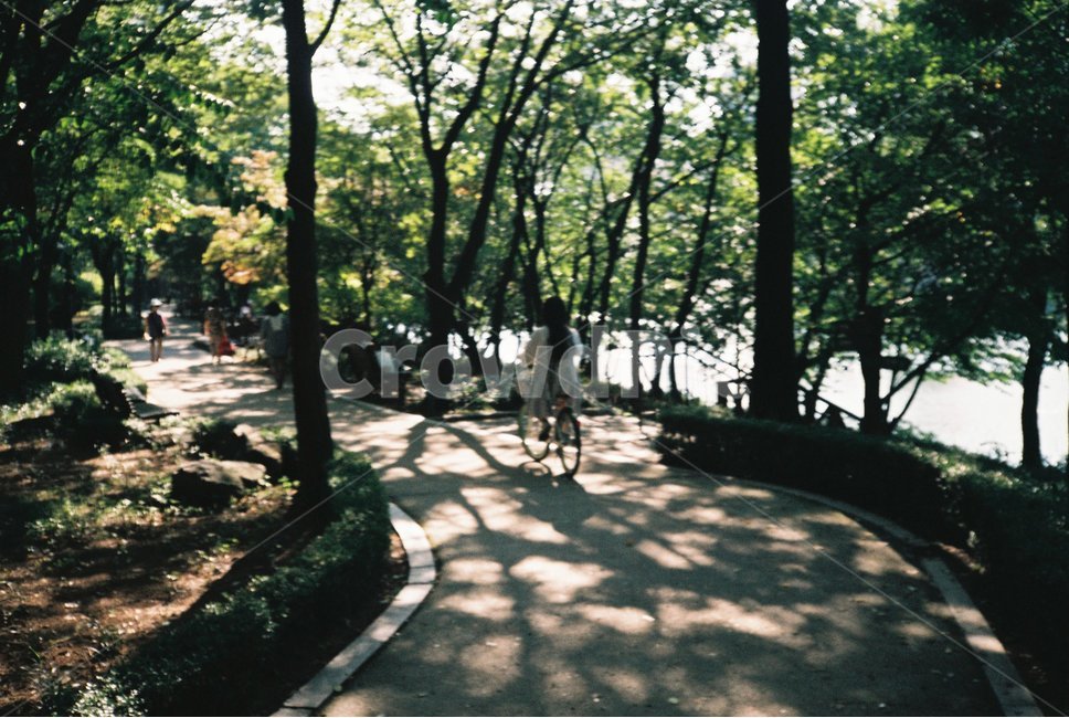 피크닉,자전거,석촌호수,공원,감성사진,데이트,데이트장소,봄,가을,datespot,date,lake,seokchonlake,picnic,spring,fall,필름사진,film,bicycle,숲길,숲,산책,park