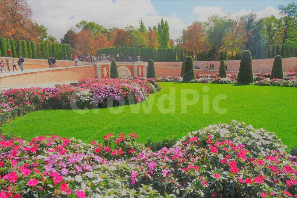 화원,공원,park,garden,spain,europ,travel,마드리드,정원,여행,스페인,꽃,풍경,자연,풍경,nature,landscape,해외,외국,세계,foreign,oversea,world,grass,잔디,plant,식물,lawn