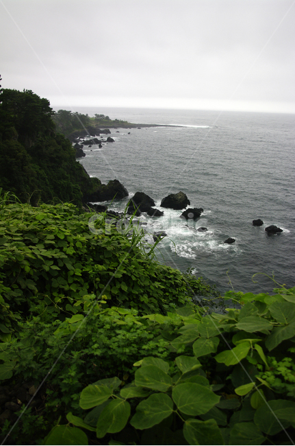 제주,바다,풍경,바위,현무암,자연,풍경,nature,landscape,한국자연풍경,한국자연경관,korea nature landscape,제주도,jeju,jeju island,promontory,곶,land,땅,outdoors,옥외