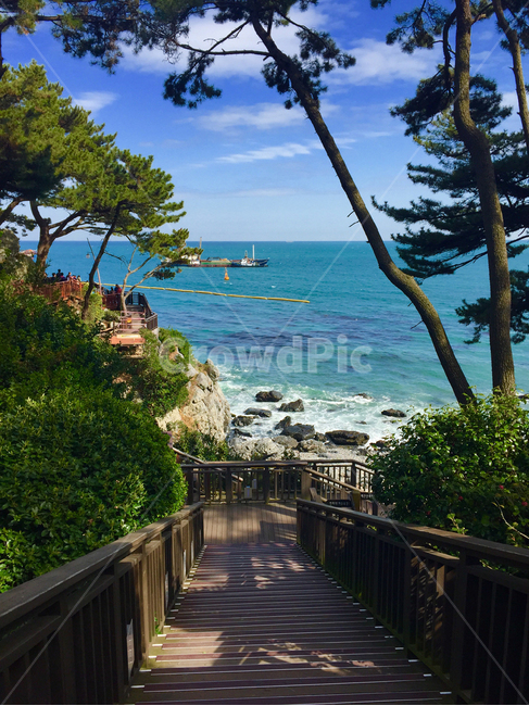 해운대,부산해운대,busan,haeundae,korea,자연,풍경,nature,landscape,summer,여름