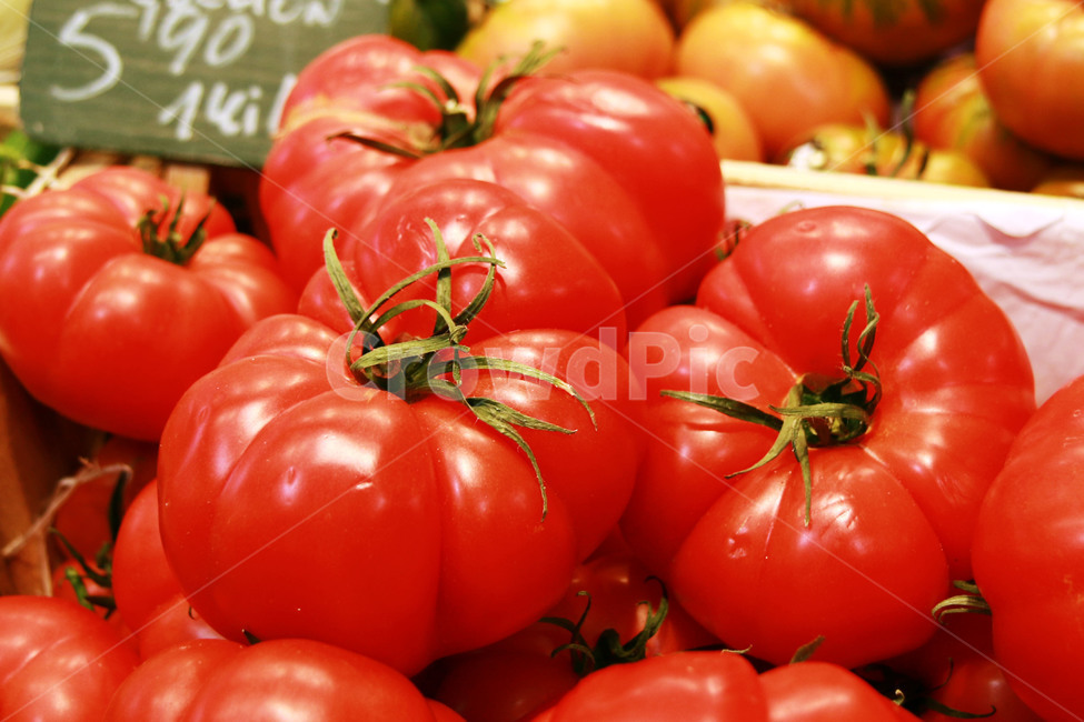 토마토,토마토사진,시장사진,과일사진,채소사진,시장,시장풍경,유럽시장,tomato,마켓,음식재료,과일,전통시장,야재,채소,야재사진,음식,식재료,요리,food,cook,meal,dishes,food reserves,채소,야채,vegetables