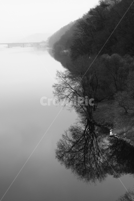 감성,감성흑백,강,나무,고요함,안개,거울,자연,풍경,nature,landscape,흑백,모노톤,monochrome,black and white,weather,날씨,fog,outdoors,옥외