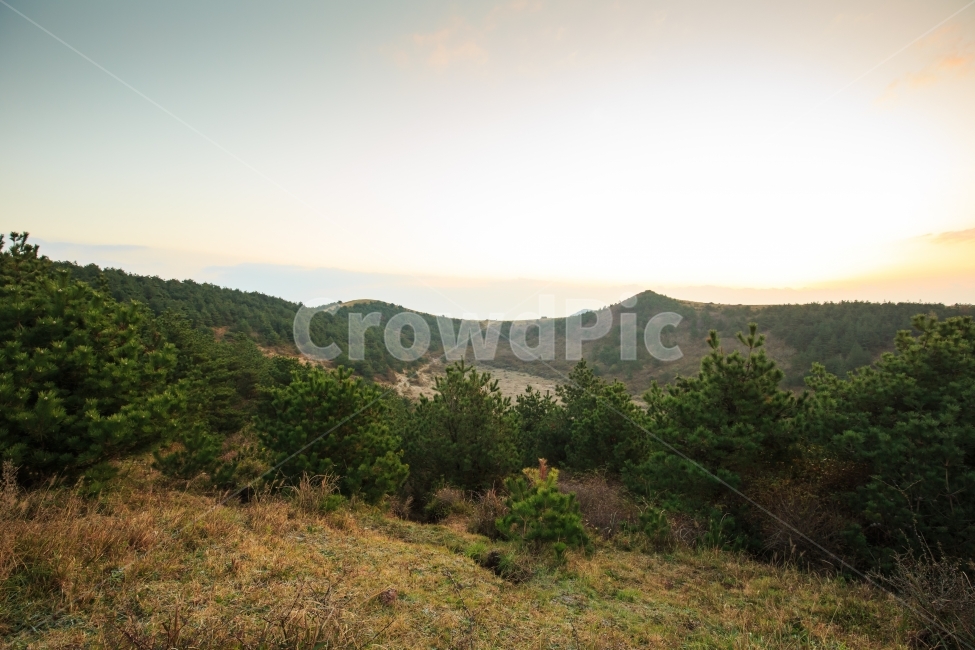 제주일출,일출sunrise,백약이오름,제주오름,제주,제주하늘,능선,철탑,분화구,성산일출봉,우도,아침햇살,canon,잔디,곶자왈,바닥,흙,자연,제주갈대,제주억새,제주일몰,일몰,하늘,여행,제주여행,제주인기,황금빛,새별,오름,새별오름,가을,제주가을,봄,여름,겨울,바다,일출,햇볕,햇살,풍경사진,풍경,작품,갈대,억새,광각,캐논,멋진사진,예쁜풍경,구름,자연,풍경,nature,landscape,한국자연풍경,한국자연경관,korea nature landscape,제주도,jeju,jeju island,outdoors,옥외,tree,나무,plant,식물,fir,전나무,abies,아비