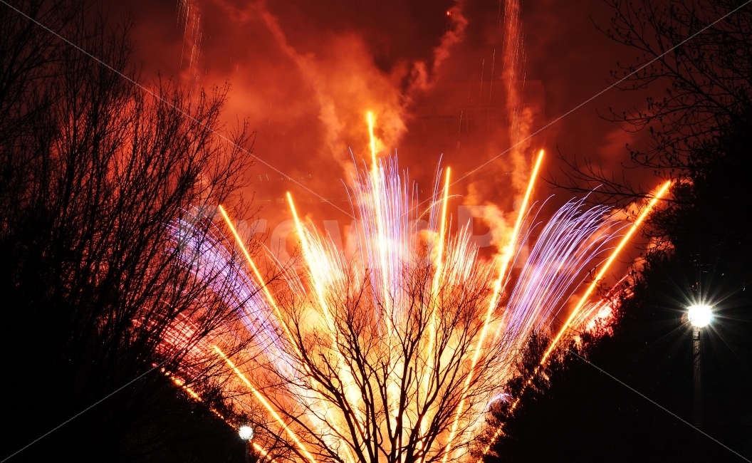 불꽃놀이,불꽃,야경,화려함,감성,야경,밤,풍경,nightscape,night,landscape,축제,행사,festival,carnival,event,nature,자연,outdoors,옥외,bonfire,모닥불,fire,불,flame