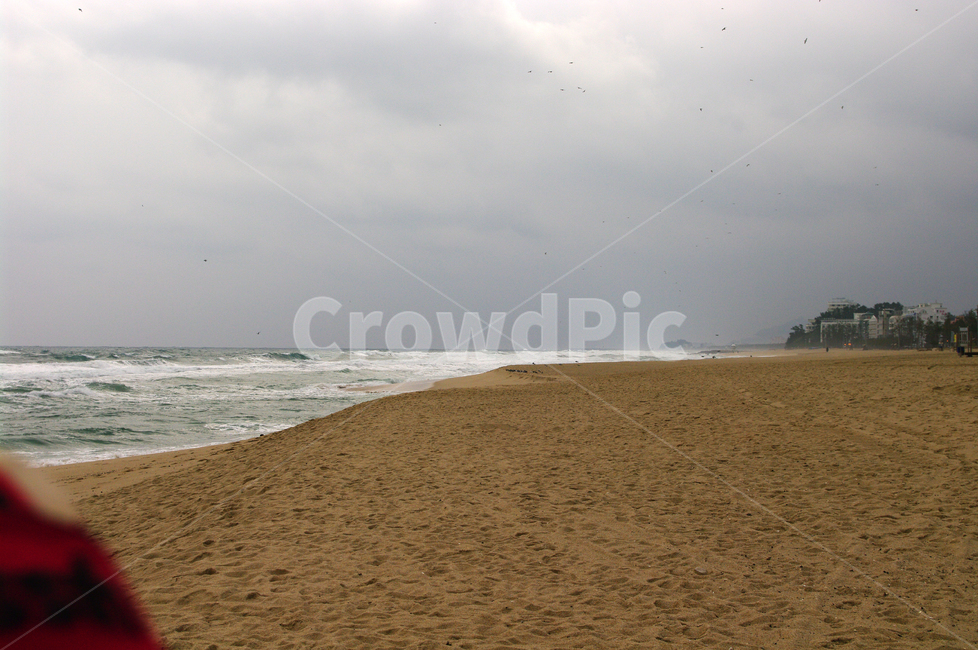 겨울,바다,풍경,하늘,해변,해변,바다,beach,sea