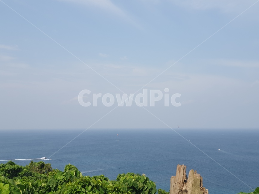 식물,tree,휴가,바다,모래사장,sea,ocean,자연,풍경,nature,landscape