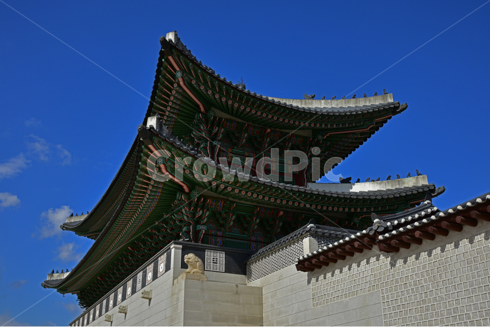 경복궁,gyeongbokgungpalace,문화재,사적,유적,궁궐,정궁,북궐,한국전통,한국문화,korean traditional,korean culture,랜드마크,landmark,tourist attraction,한국랜드마크,한국관광지,한국명소,korea landmark,korea tourist attraction,건축물,건물외관,exterior,building,structure,architecture,construction