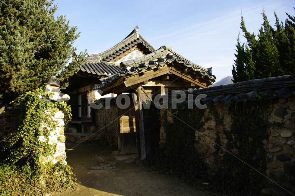 나무,돌담,가옥,한옥,대문,한국전통,한국문화,korean traditional,korean culture,건축물,건물외관,exterior,building,structure,architecture,construction