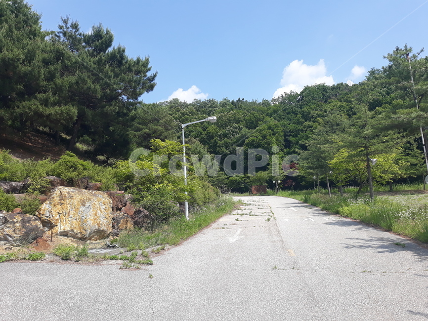 road,도로,숲,forest,하늘,sky,나무,tree,자연,nature