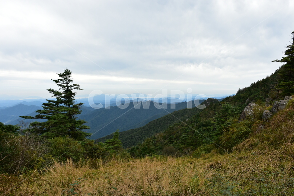 지리산,가을,풍경,비경,힐링,산행,아름다운,국립공원,감성,시즌,명산,등산,트레킹,national,park,전망,조망,nature,landscape,산그리메,산너울,자연,풍경,nature,landscape,outdoors,옥외