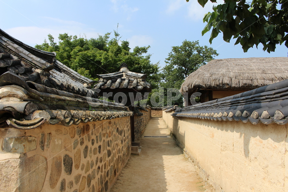 안동하회마을,한국,전통,기와집,초가집,풍경,길,옥외,outdoors,architecture
