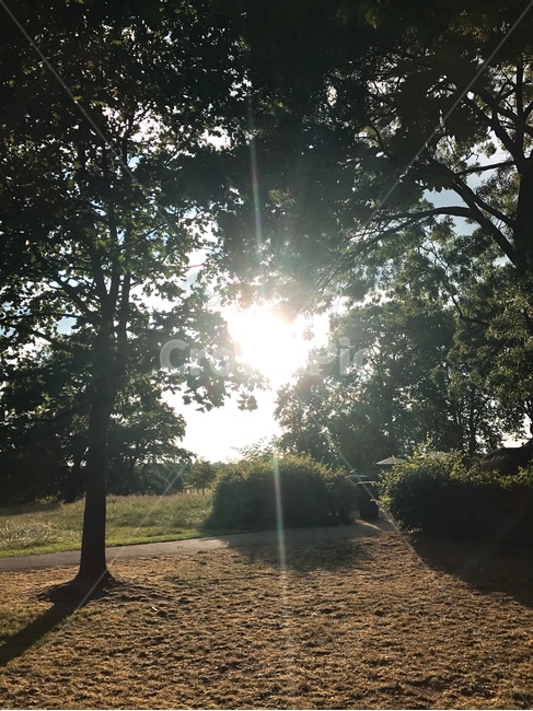 영국,공원,풍경,하늘,햇빛,구름,나무,자연,들판,뭉게구름,자연,풍경,nature,landscape,해외,외국,세계,foreign,oversea,world,세계자연풍경,해외자연풍경,외국자연풍경,world nature landscape,flare,플레어,light,빛