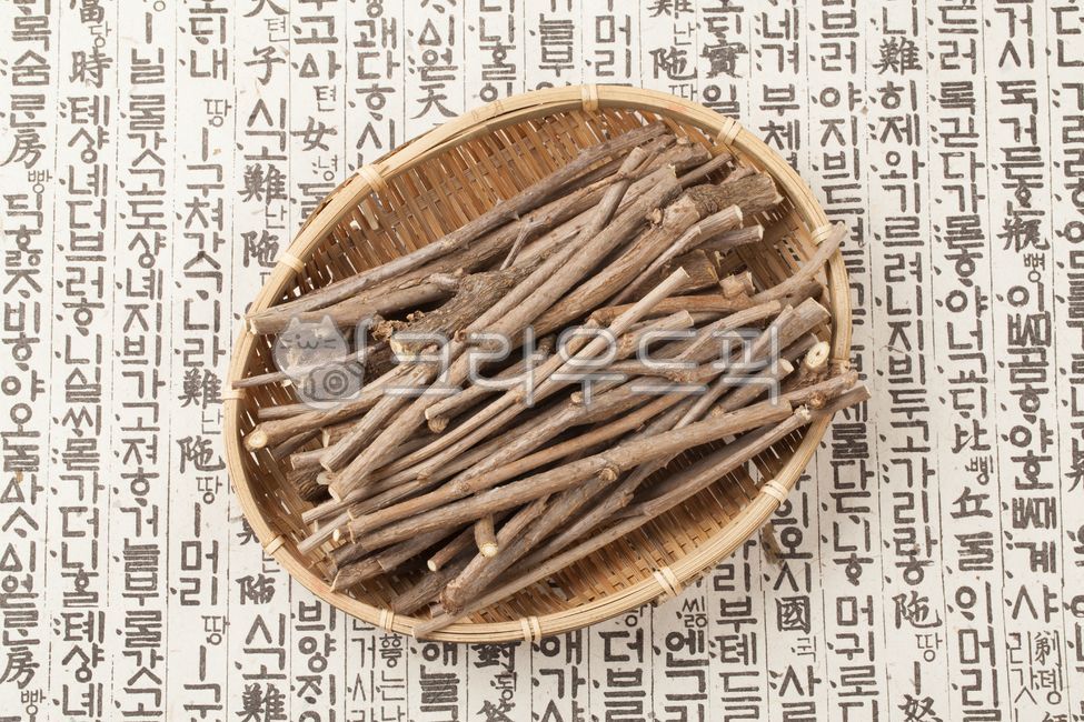 가시오가피,오가피,오가피나무,가시오가피나무,가시오가피가지,한방차,한방재료,한약재,한약재료