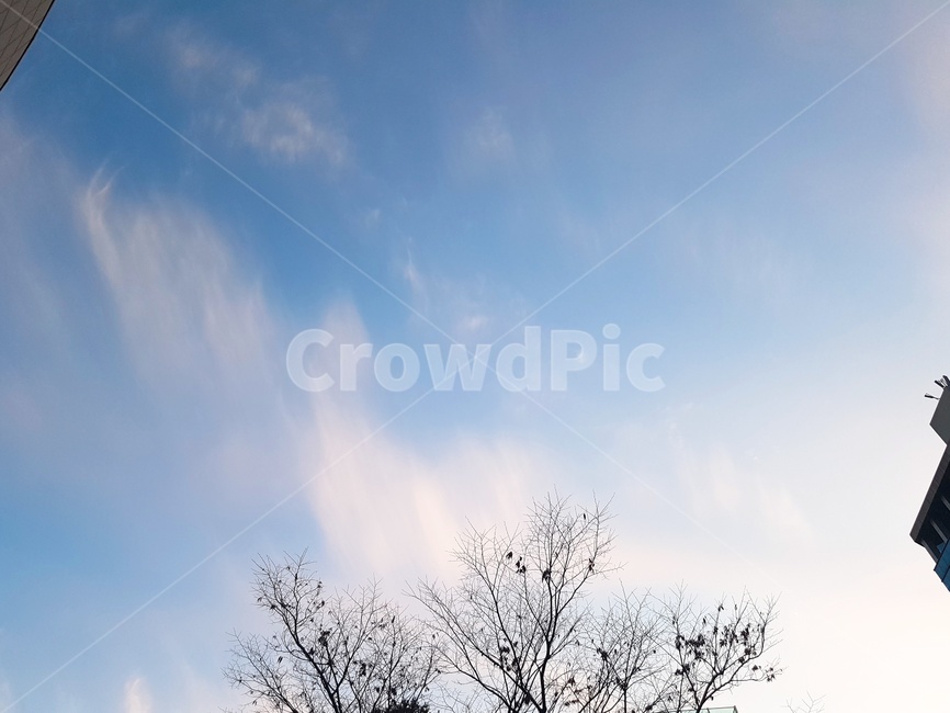 하늘,구름,뭉개구름,새털구름,푸른하늘,sky,cloud,자연,풍경,nature,landscape,outdoors,옥외