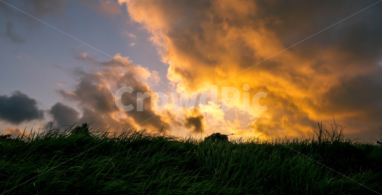 노을,바람,풀밭,구름,석양,우붓,sunset,cloud,wind,sky,하늘,자연,풍경,nature,landscape,plant,식물,grass,잔디,sunlight,햇빛