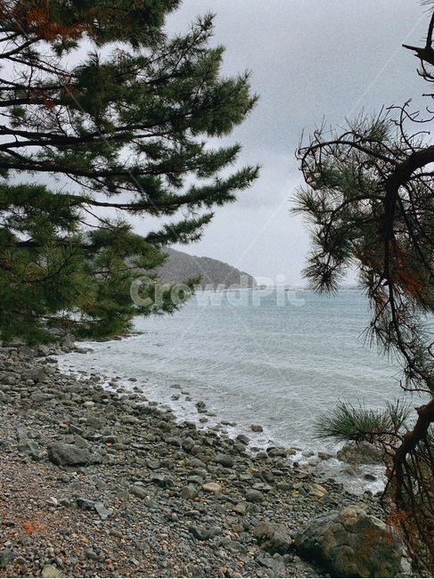 흐린오후,sea,beach,해변,야외
