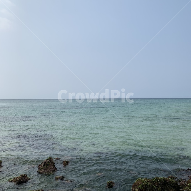 자연,바다,제주도,여름,배경,휴가,자연,풍경,nature,landscape,outdoors,옥외