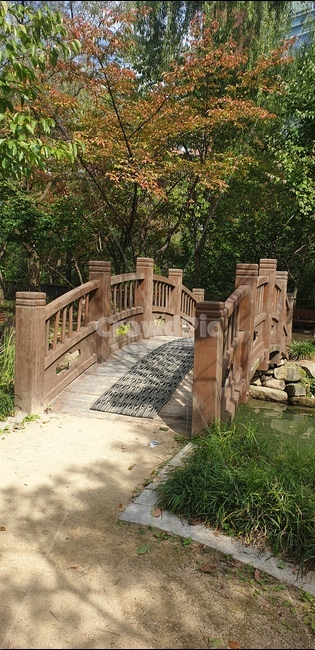다리,가을,낙엽,징검다리,냇가,outdoors,옥외