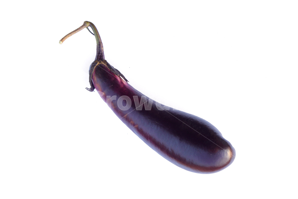가지,야채,채소,보라색,보라,퍼플,식재료,음식,식물,열매,흰배경,food,vegetables,eggplant,aubergine,violet,purple