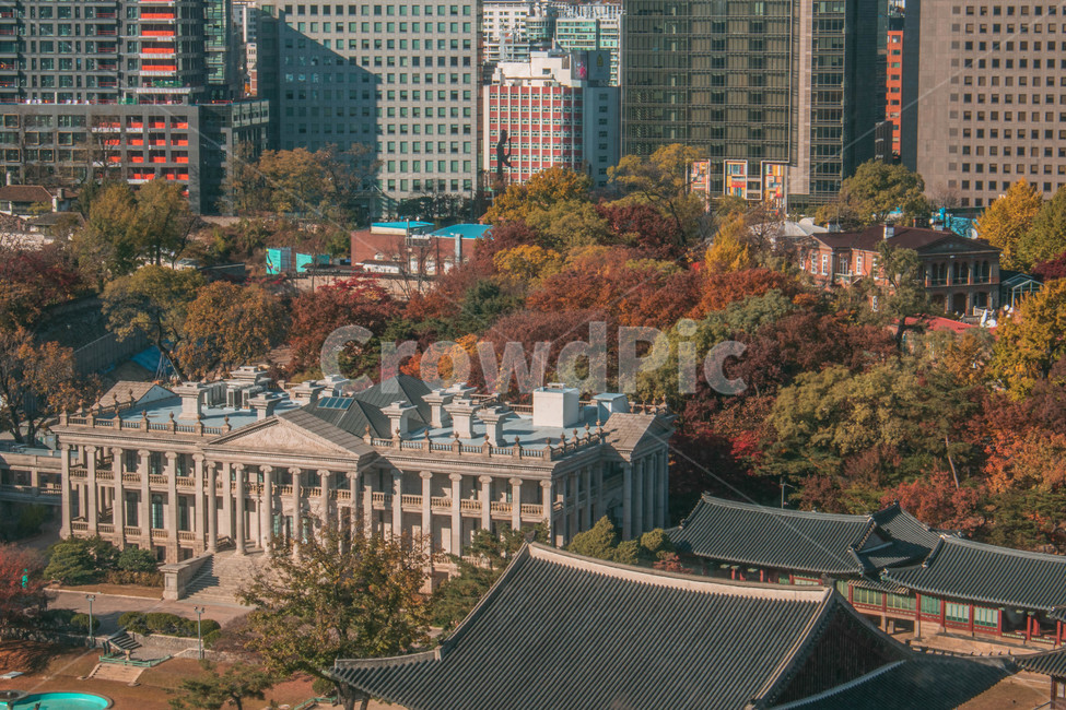 낙엽,도심,가을,단풍,덕수궁,등산,outdoors,옥외,landscape,경치,nature,자연,scenery,풍경,city,건물,building,어반,urban,시티,town,도시,downtown,한옥,가을,계절,fall,autumn,season,한국전통,한국문화,korean traditional,korean culture,랜드마크,landmark,tourist attraction,한국랜드마크,한국관광지,한국명소,korea landmark,korea tourist attraction