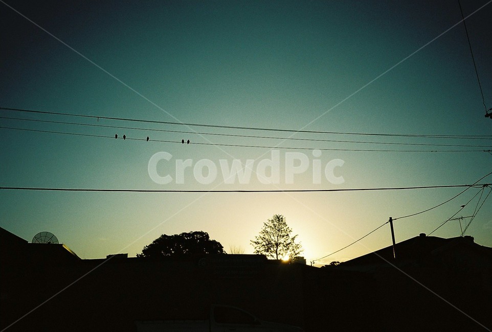 저녁노을,햇빛,전기줄,새,sunset,shine,anelectricwire,bird
