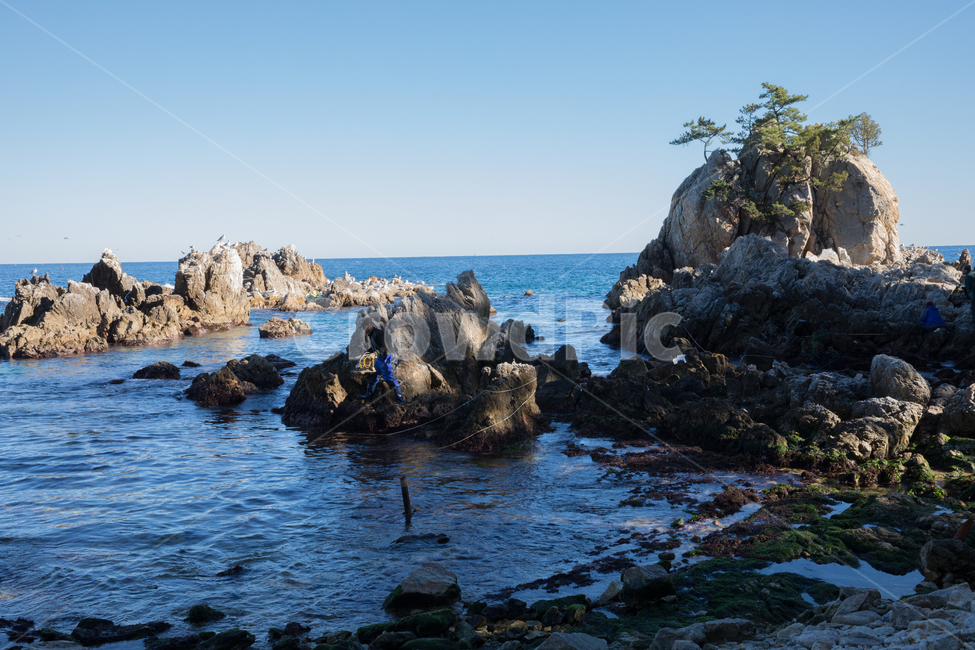 자연,nature,옥외,outdoors,water,물,ocean,대양,sea,바다,풍경,경치,경관,바위,백바위,해변,썰물