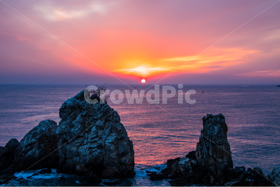 일출,추암해변,해,바다,풍경,여명,추암바위,자연,풍경,nature,landscape,outdoors,옥외,promontory,곶