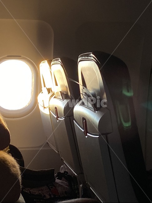 기내,비즈니스,기내좌석,trip,businesstrip