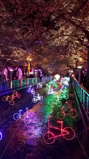 야경,불빛,진해,벛꽃,군항제,자연,풍경,nature,landscape,봄,계절,spring,season,야경,밤,nightscape,night,축제,행사,festival,carnival,event,lighting,조명